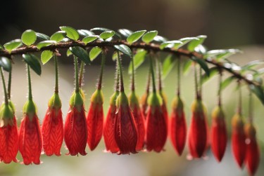 广州荔湾区私人快速借钱网，轻松解决资金难题