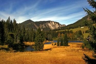 广州荔湾区民间私贷攻略：揭秘低成本借贷的秘密